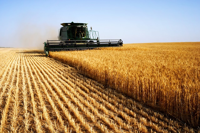 INAIL – In arrivo una misura per il settore agricolo