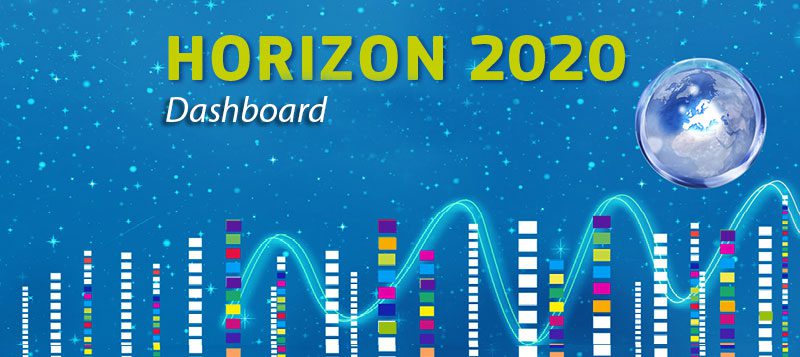 Conoscete Horizon 2020? New Consult vi spiega il bando EU per le Piccole e Medie Imprese 2018-2020